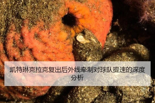 kai-te-lin-ke-la-ke-fu-chu-hou-wai-xian-qian-zhi-dui-qiu-dui-ti-su-de-shen-du-fen-xi-2-926.jpg